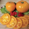 Amish Gold Slicer Tomato