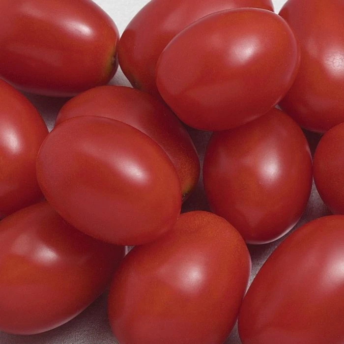 Sweet Hearts Hybrid Tomato 1 Sweet Hearts Hybrid Tomato