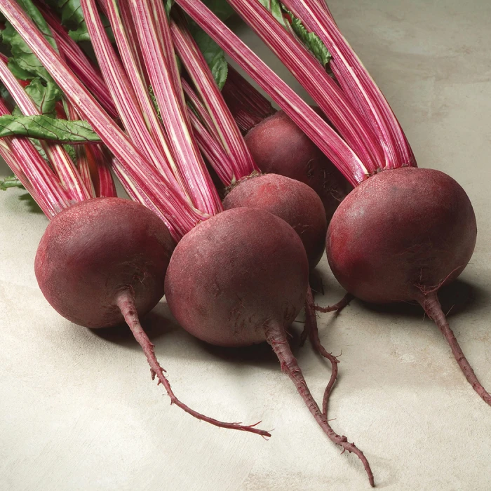 Red Ace Hybrid Beet 1 Red Ace Hybrid Beet
