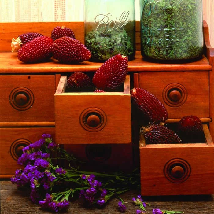 Strawberry Ornamental Popcorn 1 Strawberry Ornamental Popcorn