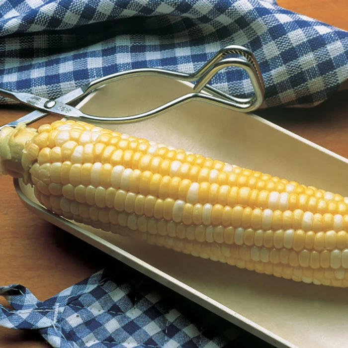 Trinity Bicolor Hybrid Sweet Corn 1 Trinity Bicolor Hybrid Sweet Corn