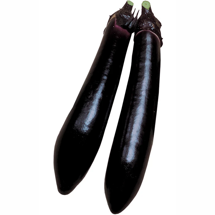 Millionaire Hybrid Eggplant 1 Millionaire Hybrid Eggplant