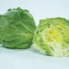 Chamisal Lettuce