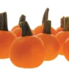 Half Pint Hybrid Pumpkin