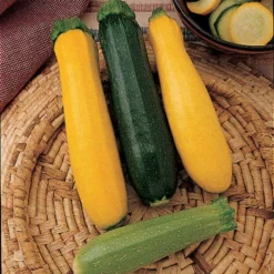 Jung Summer Medley Squash