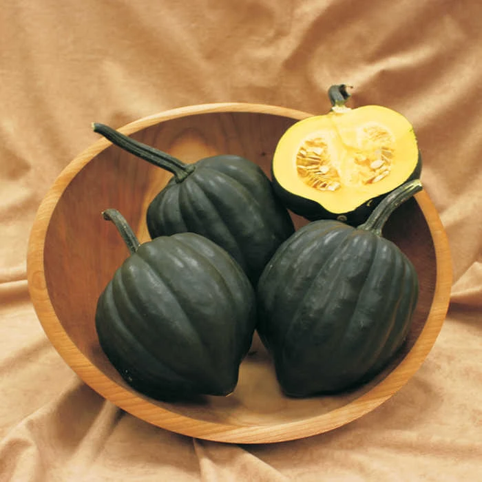 Table Treat Hybrid Acorn Winter Squash 1 Table Treat Hybrid Acorn Winter Squash