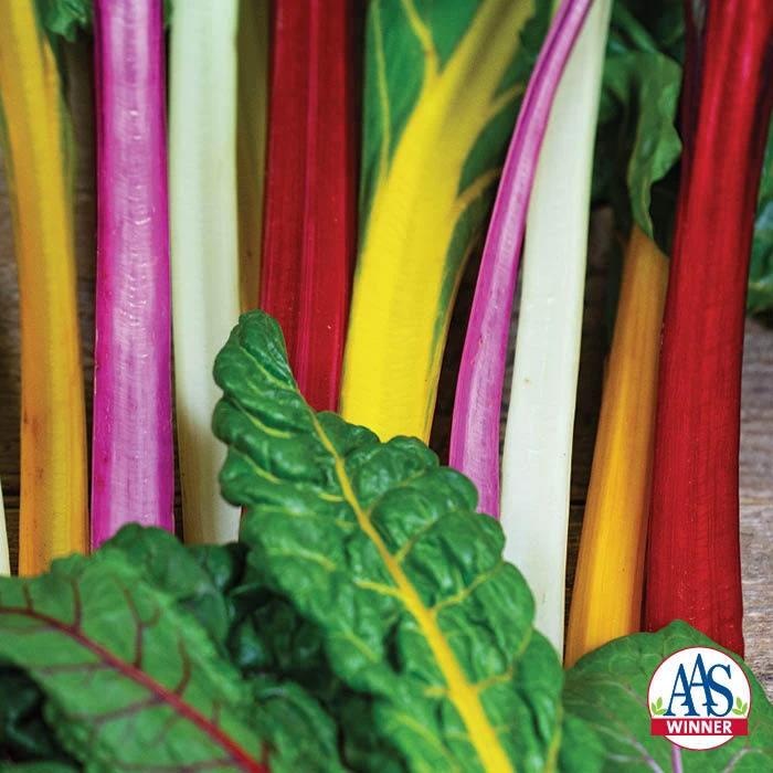 Bright Lights Swiss Chard 1 Bright Lights Swiss Chard