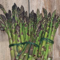 Jersey Supreme Asparagus