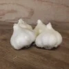 California White Garlic