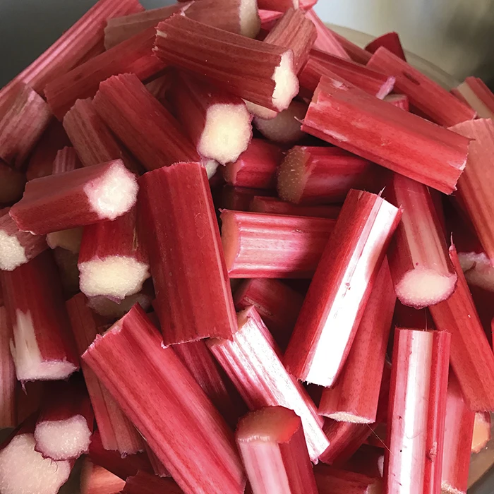 Canada Red Rhubarb 1 Canada Red Rhubarb