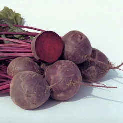 Boro Hybrid Organic Beet