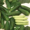 Organic Diamant Hybrid Cucumber