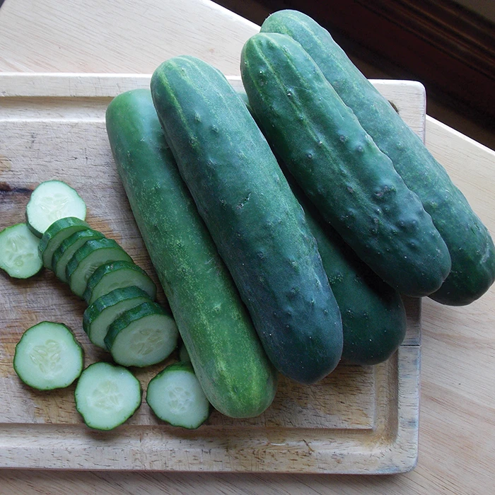 Organic Straight Eight Cucumber 1 Organic Straight Eight Cucumber