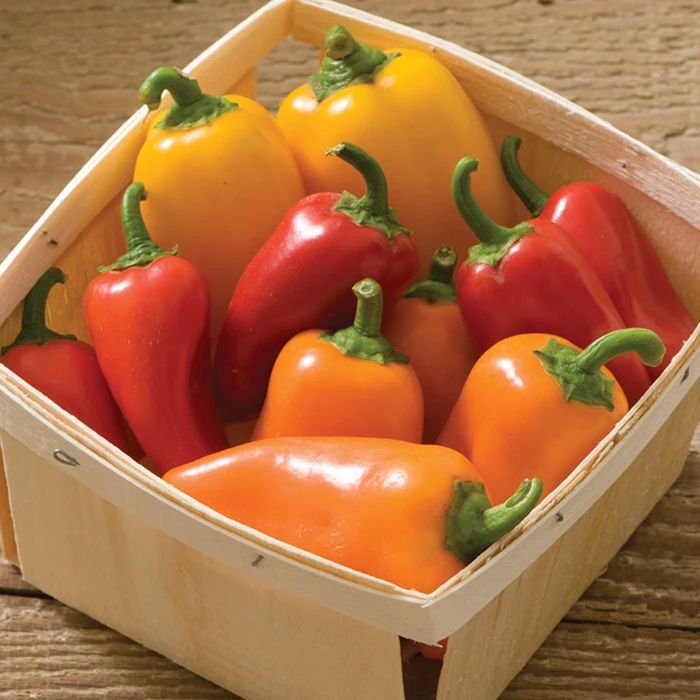 Lunchbox Mix Pepper 1 Lunchbox Mix Pepper