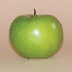 Northwestern Greening Standard Apple