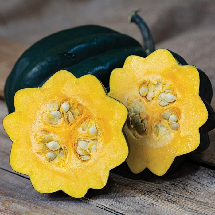 Table Ace Hybrid Acorn Winter Squash 1 Table Ace Hybrid Acorn Winter Squash